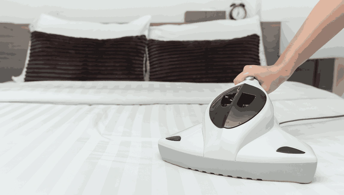 Professional Mattress Cleaning Rockbank